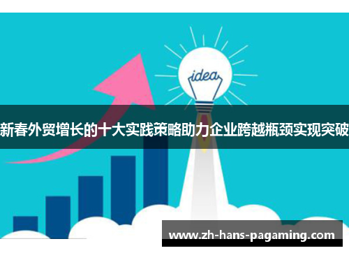新春外贸增长的十大实践策略助力企业跨越瓶颈实现突破