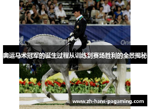 奥运马术冠军的诞生过程从训练到赛场胜利的全景揭秘