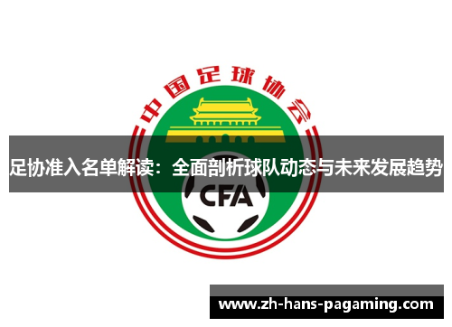 足协准入名单解读：全面剖析球队动态与未来发展趋势