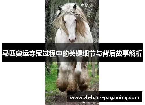 马匹奥运夺冠过程中的关键细节与背后故事解析 马匹奥运夺冠过程中的关键细节与背后故事解析