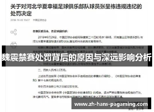 魏震禁赛处罚背后的原因与深远影响分析 魏震禁赛处罚背后的原因与深远影响分析