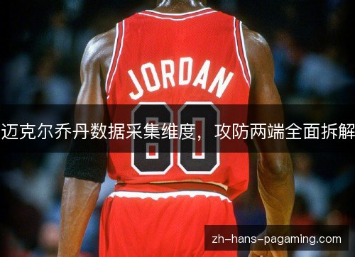 迈克尔乔丹数据采集维度，攻防两端全面拆解