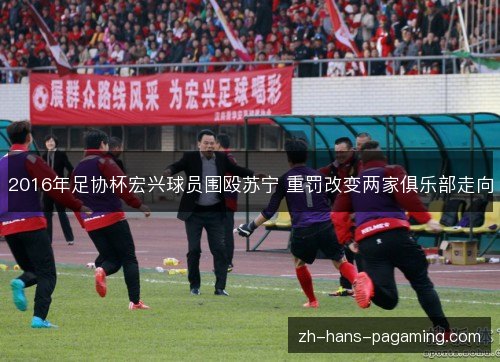 2016年足协杯宏兴球员围殴苏宁 重罚改变两家俱乐部走向